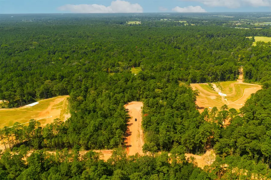 4111 Augusta Drive, Montgomery, TX 77316 - #3