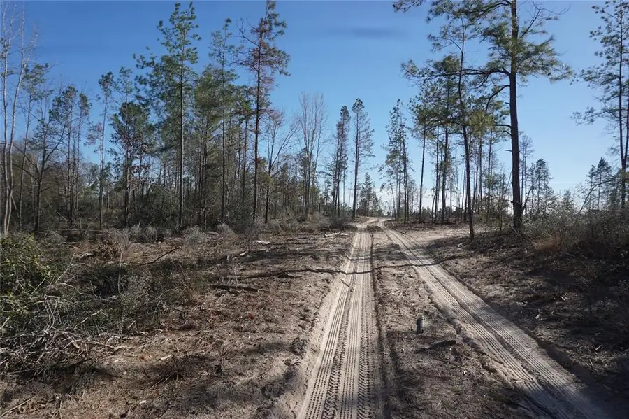 9377 Private Road 2851, Buffalo, TX 75831 - Image #2