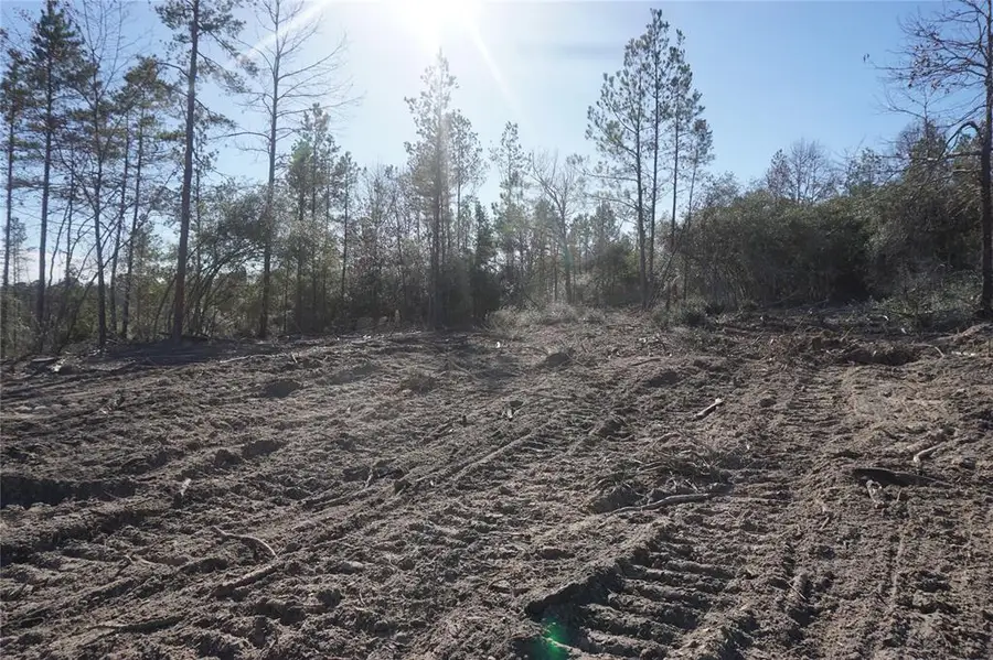 9377 Private Road 2851, Buffalo, TX 75831 - Image #3