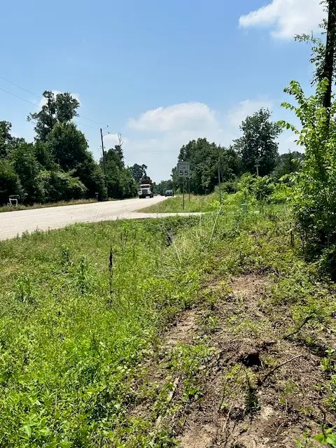 16133 Chick Lane, Montgomery, TX 77356 - Image #2