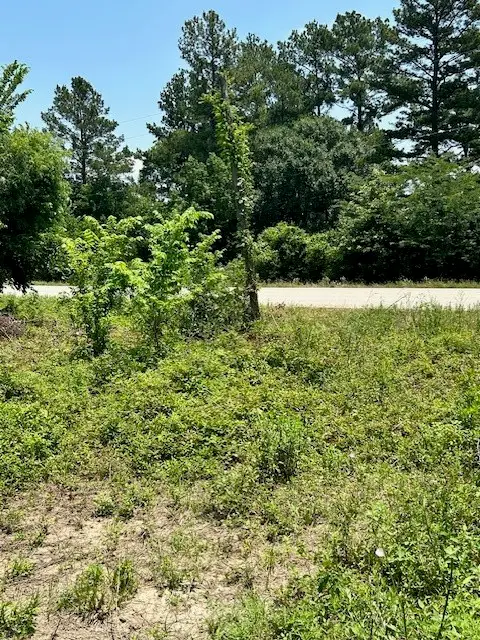 16133 Chick Lane, Montgomery, TX 77356 - Image #3