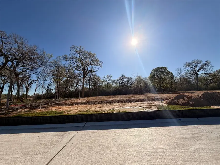 8519 Light Rail Drive, Fulshear, TX 77441 - #2