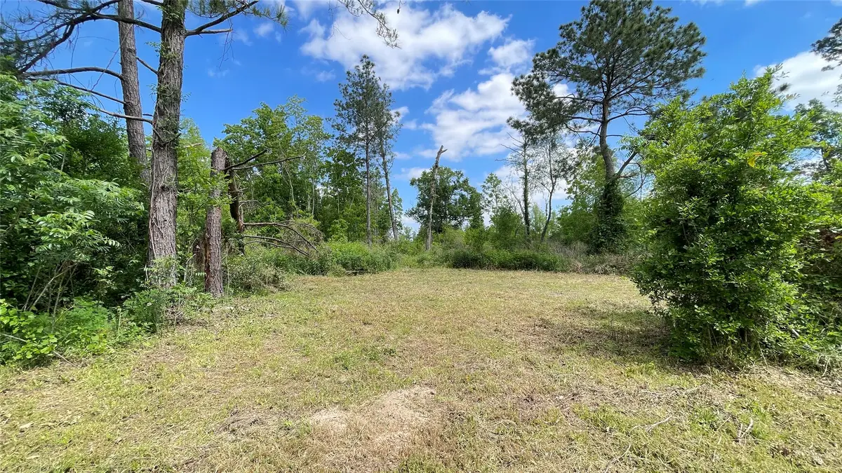 316 Road 3802, Cleveland, TX 77328 - Image #1