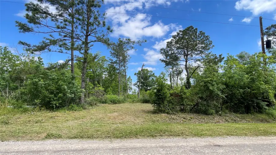 316 Road 3802, Cleveland, TX 77328 - Image #3