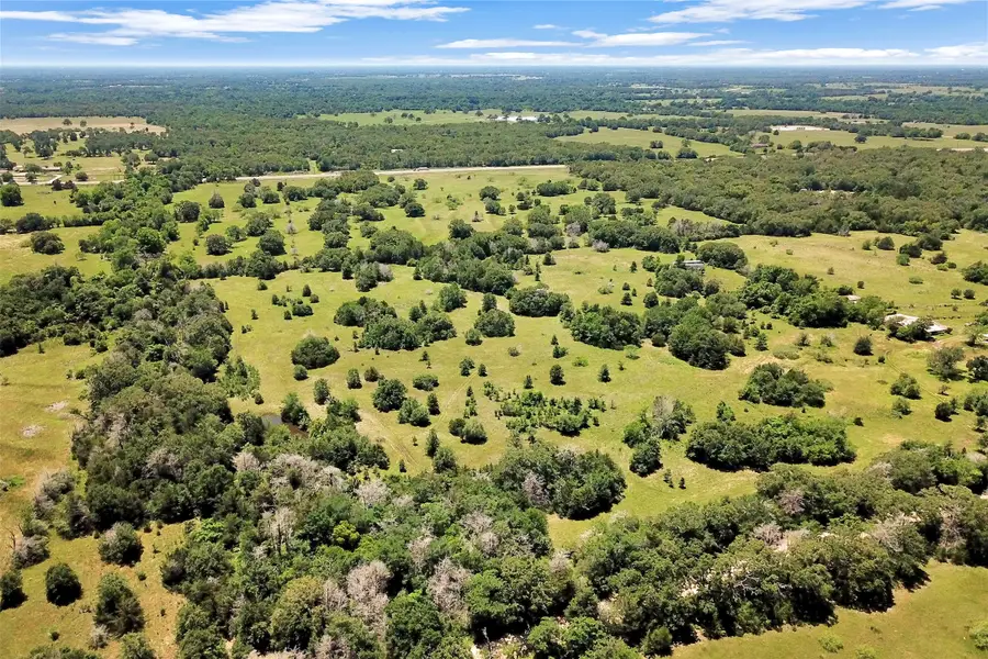 7629 Oxford Cemetery Road, Madisonville, TX 77864 - #3