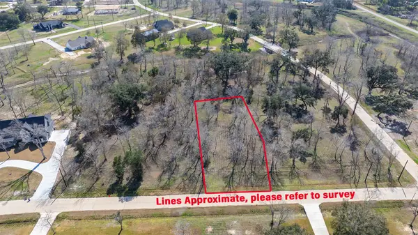 2807 Chinaberry Lane, Alvin, TX 77511