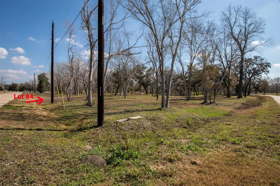 2807 Chinaberry Lane, Alvin, TX 77511 - #2