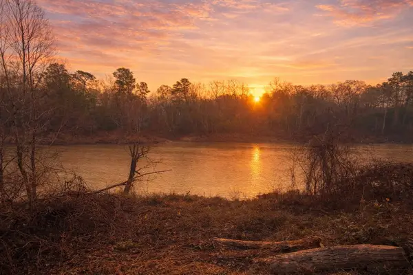 274 County Road 3945, Colmesneil, TX 75938