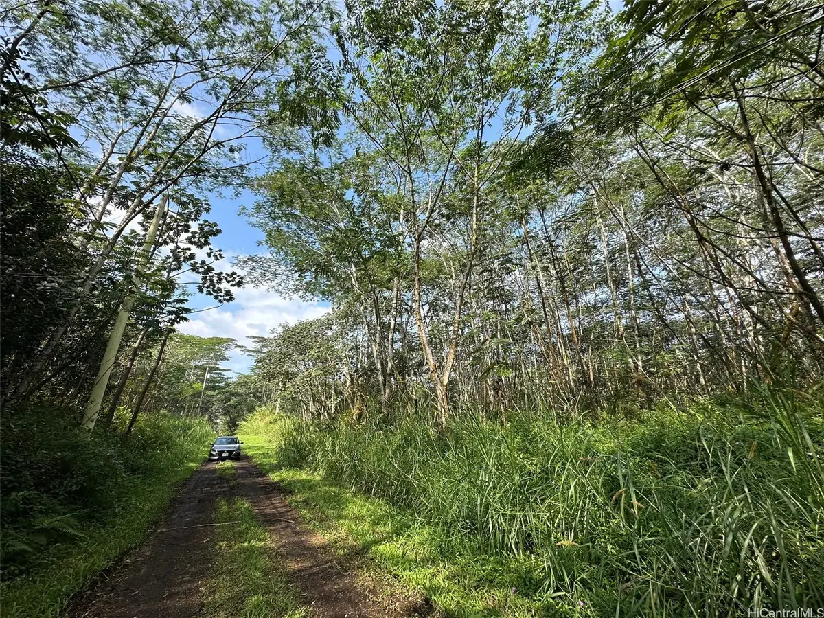 00 Pikake Road, Pahoa, HI 96778 - #1