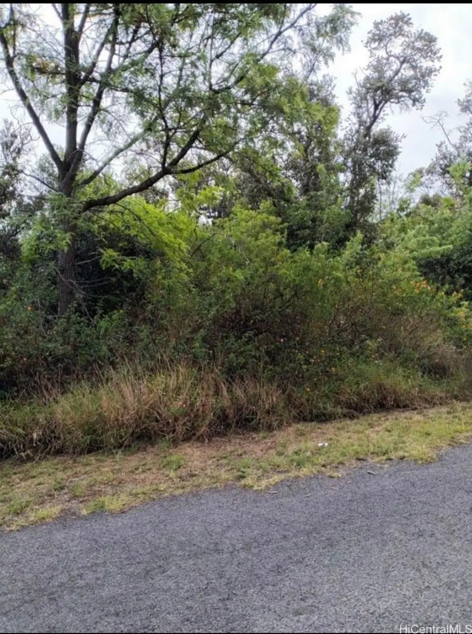 92 Keaka Parkway, Ocean View, HI 96737 - Image #1