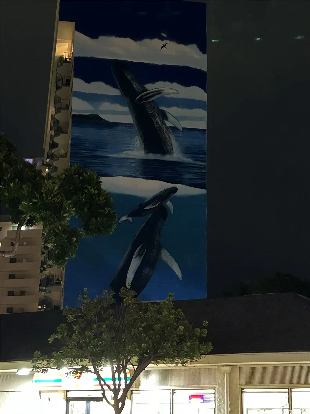 1909 Ala Wai Boulevard #509, Honolulu, HI 96815 - Image #1