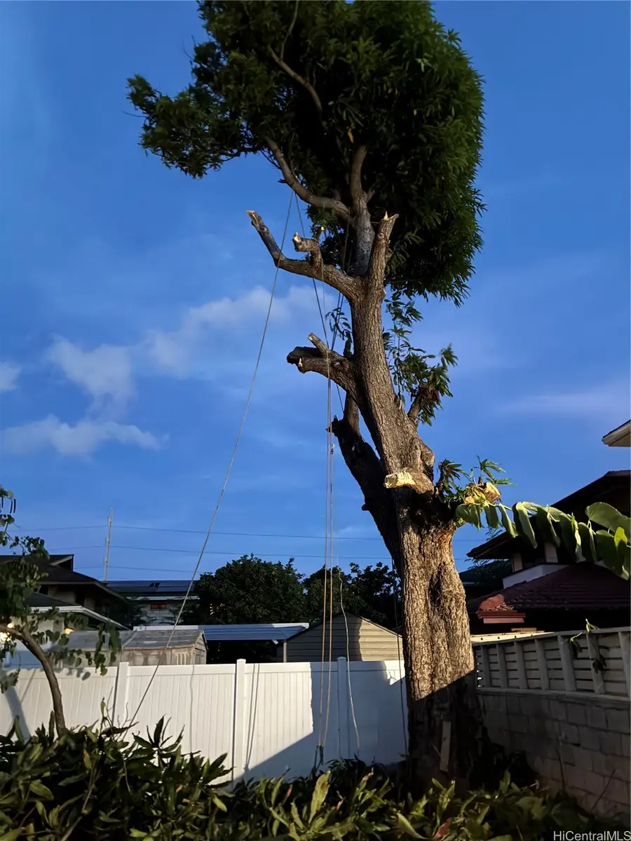 1751 Ahuula Street, Honolulu, HI 96819 - Image #3