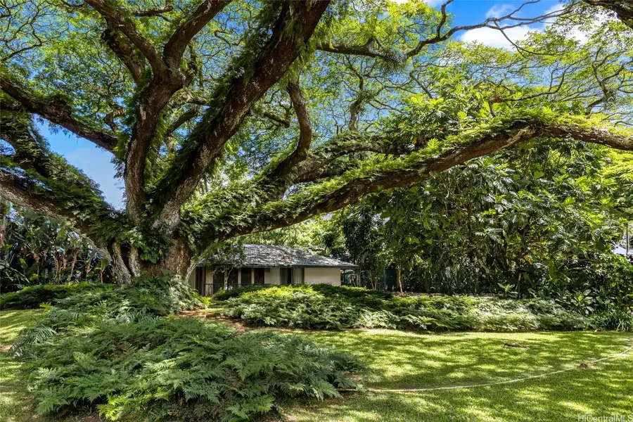 187 Dowsett Avenue, Honolulu, HI 96817 - Image #3