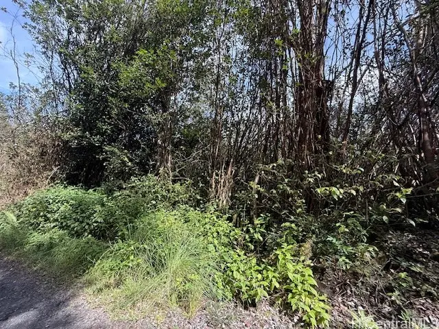 17-3352 Maunalani Road, Mountain View, HI 96771 - Image #2