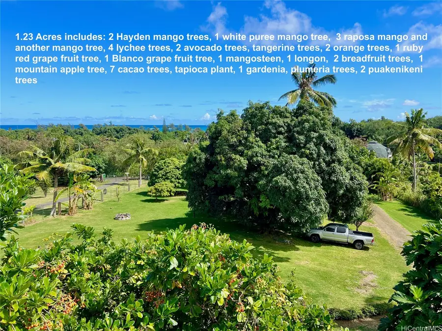 53-416 Kamehameha Highway #A, Hauula, HI 96717 - Image #2