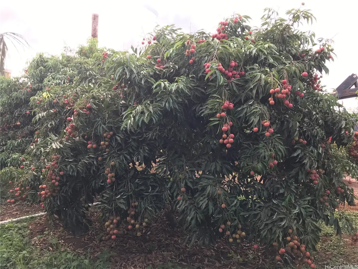 94-1100 Kunia Road #0045, Waipahu, HI 96797 - Image #1