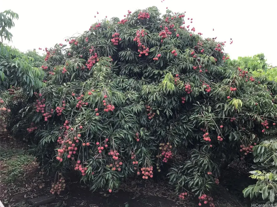 94-1100 Kunia Road #0045, Waipahu, HI 96797 - Image #2