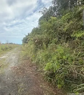 0 Huina Road, Mountain View, HI 96771 - Image #3