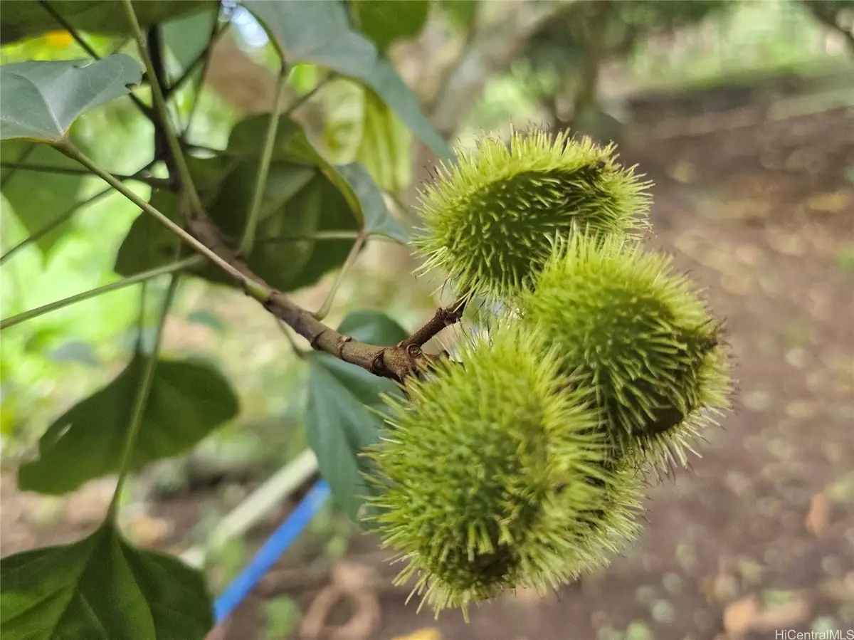 94-1100 Kunia Road #86F, Waipahu, HI 96797 - #1