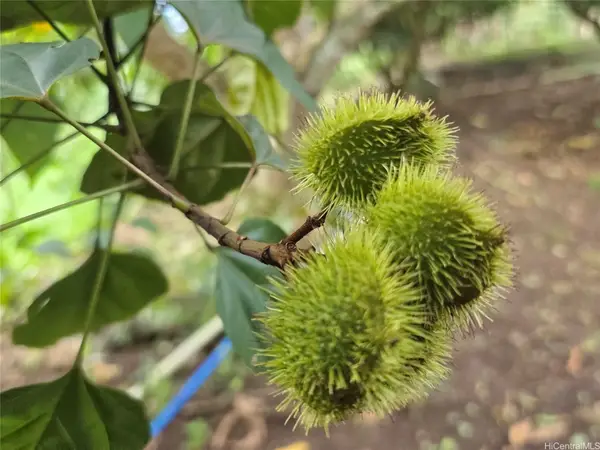 94-1100 Kunia Road #86F, Waipahu, HI 96797