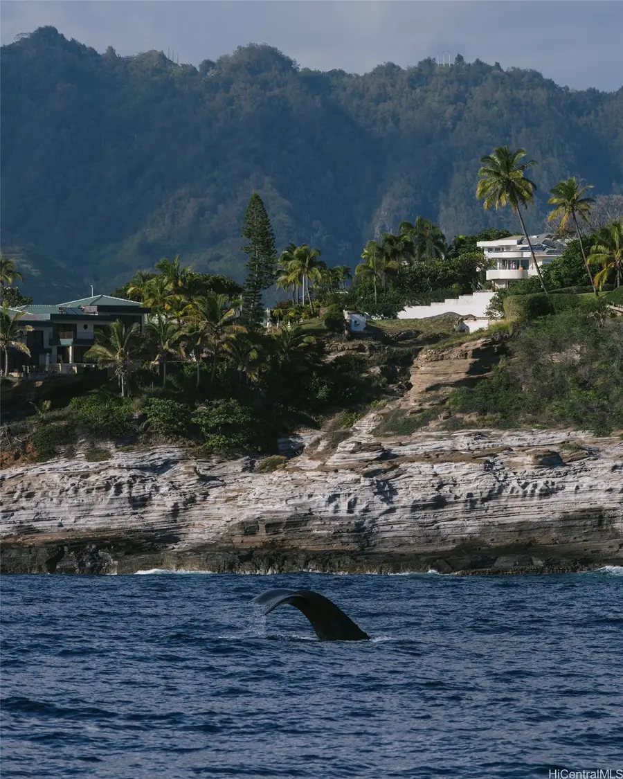 3 Poipu Drive, Honolulu, HI 96825 - #3