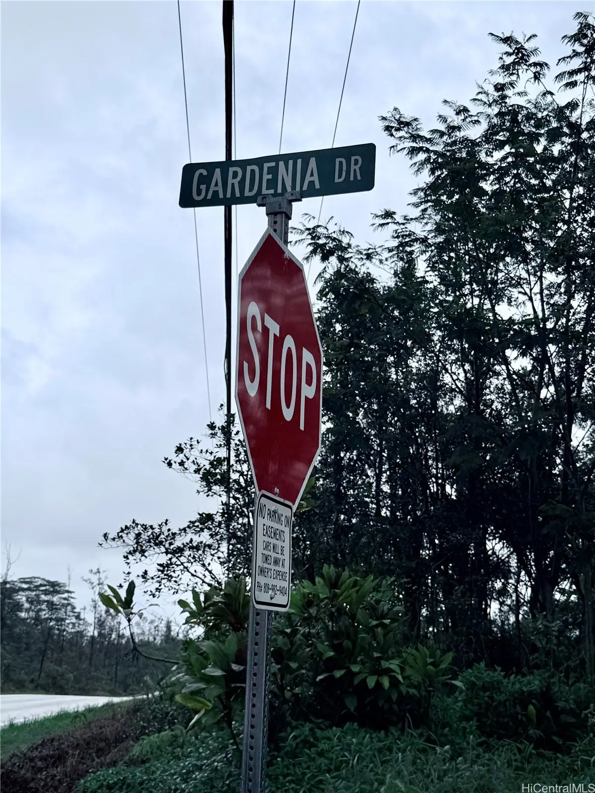 16-2045 Gardenia Drive, Pahoa, HI 96778 - #1