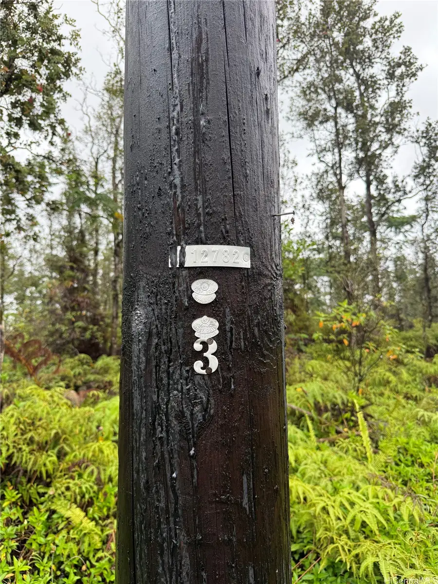 16-2045 Gardenia Drive, Pahoa, HI 96778 - #3