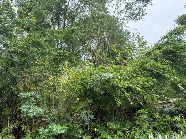 15-716 S Puni Mauka Loop, Pahoa, HI 96778 - #1