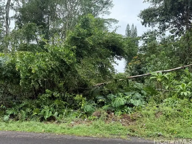 15-716 S Puni Mauka Loop, Pahoa, HI 96778 - #3