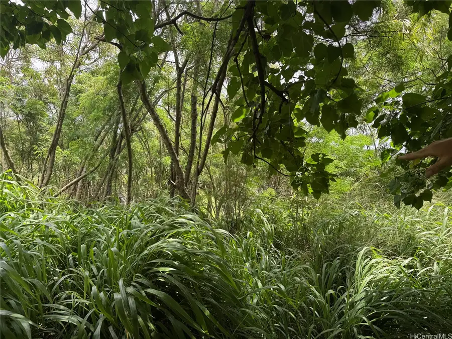 58-0 Kamehameha Highway, Haleiwa, HI 96712 - #2