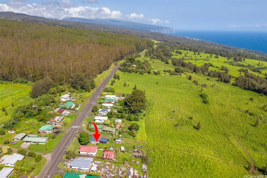 46-4162 Honokaa Waipio Road, Honokaa, HI 96727 - #3