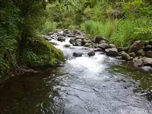 64-486 Kamehameha Highway #20-B, Haleiwa, HI 96712 - #2