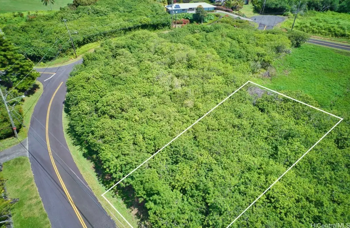 1687 Kaulua Street, Naalehu, HI 96772 - #1