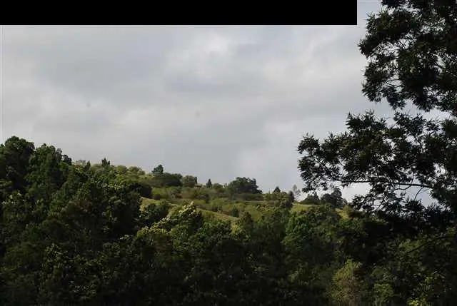 302 Laumania Rd #36-C, Kula, HI 96790 - #3