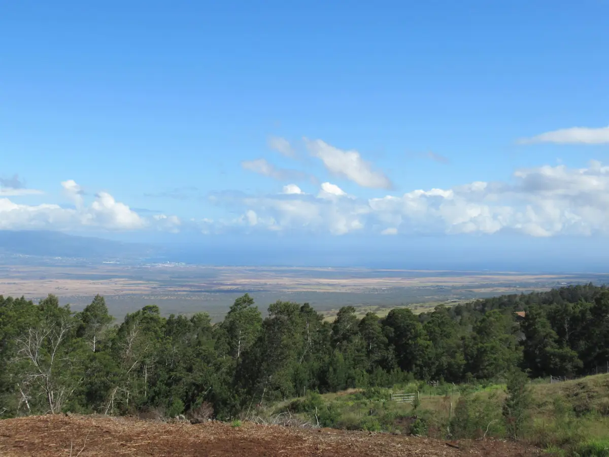 Kula Hwy, Kula, HI 96790 - #1