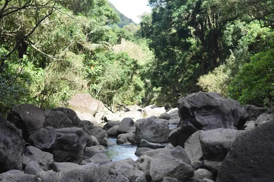 0 Halawa Pl, Kaunakakai, HI 96748 - #3