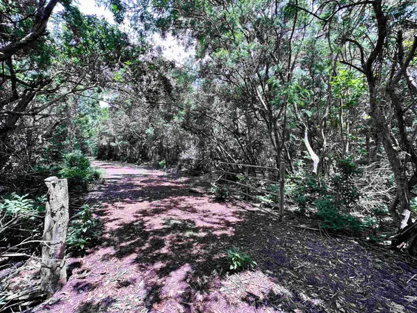 0 Kahanui Acres Pl #Lot A, Hoolehua, HI 96729