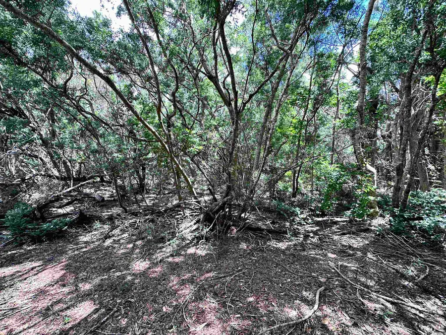 0 Kahanui Acres Pl #Lot A, Hoolehua, HI 96729 - #2