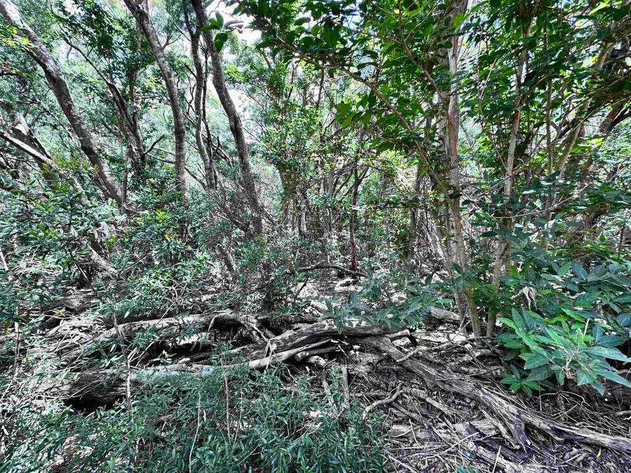 0 Kahanui Acres Pl #Lot A, Hoolehua, HI 96729 - #3
