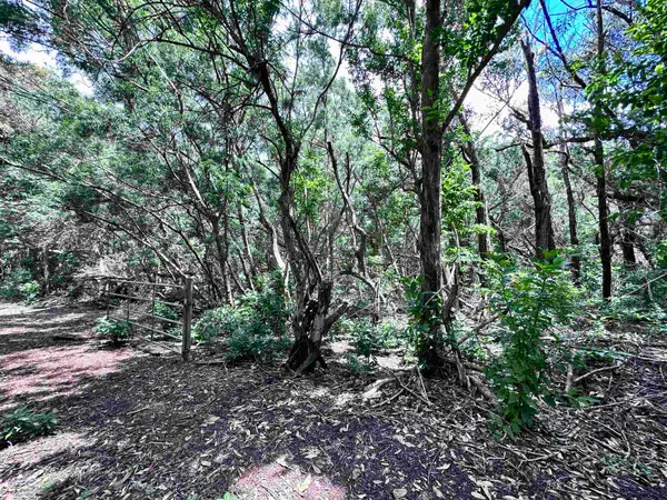 0 Kahanui Acres Pl #Lot B, Hoolehua, HI 96729