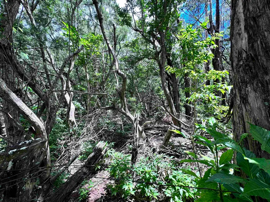 0 Kahanui Acres Pl #Lot B, Hoolehua, HI 96729 - #2