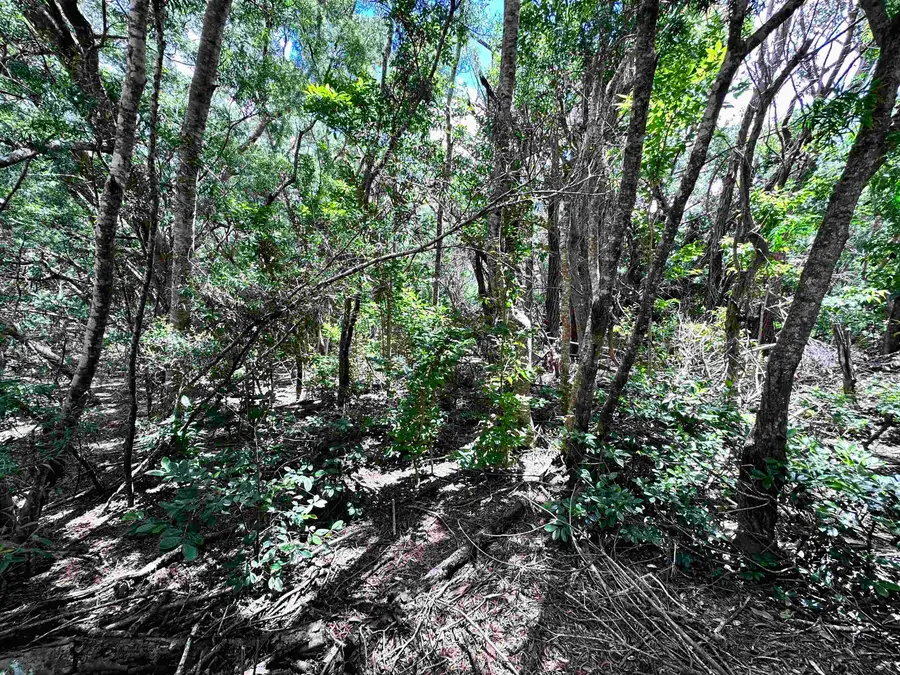 0 Kahanui Acres Pl #Lot B, Hoolehua, HI 96729 - #3