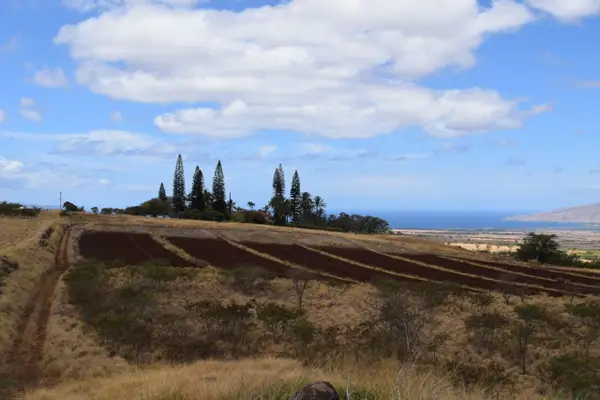 0 Omaopio Rd, Kula, HI 96790