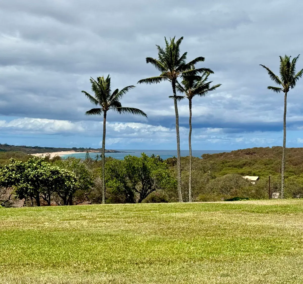 50 Kepuhi Pl #122, Maunaloa, HI 96770 - #1