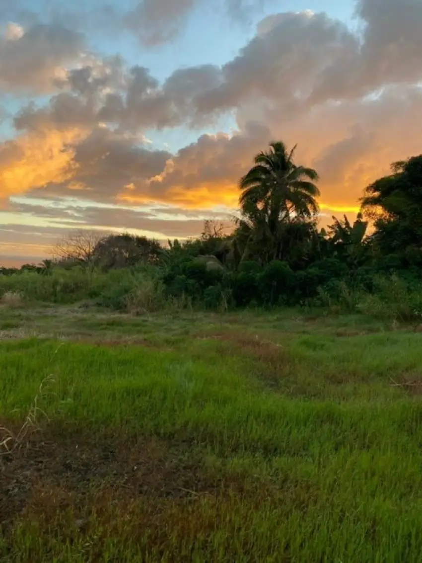 1580 Lower Nahiku Rd, Hana, HI 96713 - #1