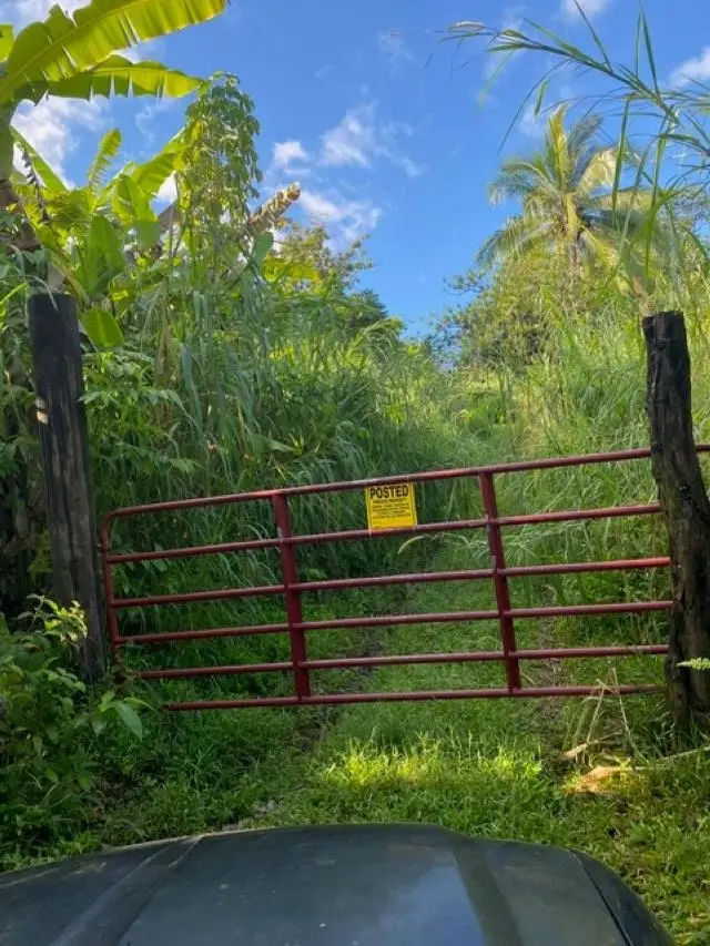 1580 Lower Nahiku Rd, Hana, HI 96713 - #2