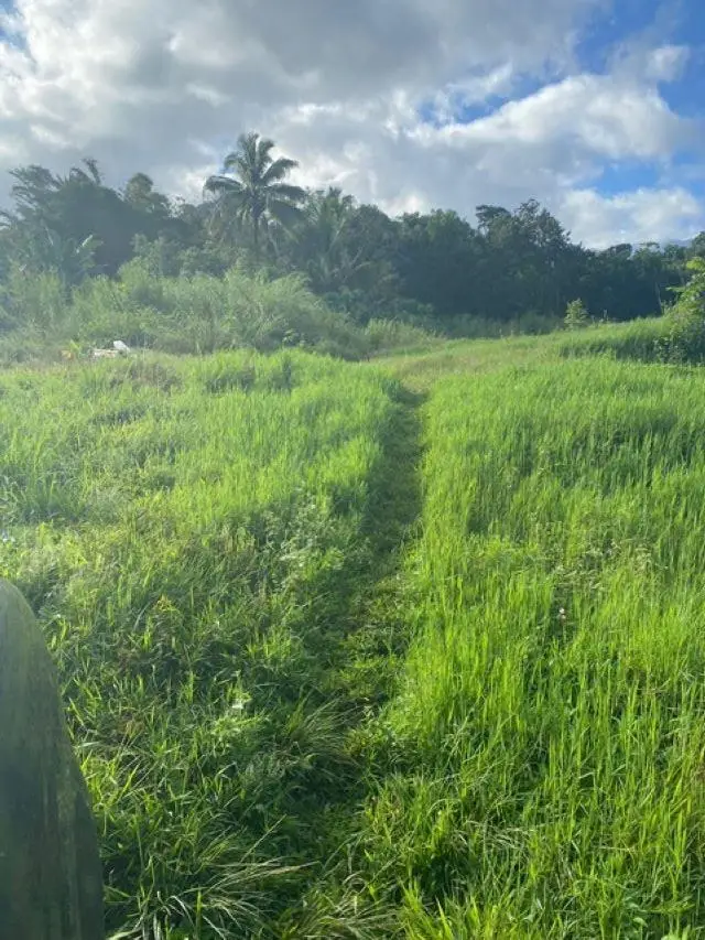 1580 Lower Nahiku Rd, Hana, HI 96713 - #3