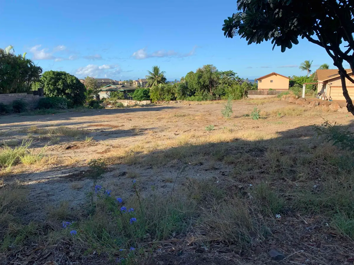 490 Kaiola Pl, Kihei, HI 96753 - #1