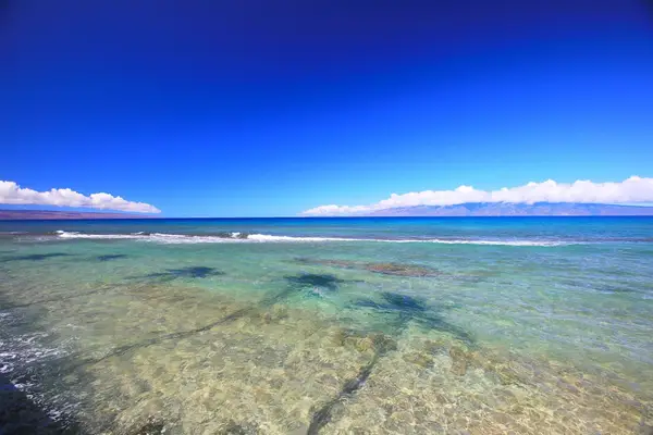 3543 Lower Honoapiilani Rd #C107, Lahaina, HI 96761