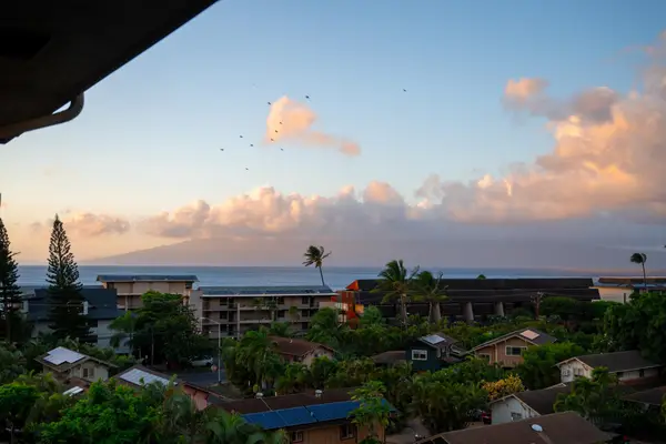 3708 Lower Honoapiilani Rd #E41, Lahaina, HI 96761